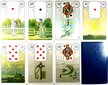 Lenormand Blue Owl cena un informācija | Ezotērika | 220.lv