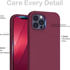 Riff Apple iPhone 15 Pro Max cena un informācija | Telefonu vāciņi, maciņi | 220.lv