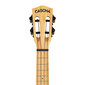 Tenora ukulele Cascha Bamboo Natural HH 2314 cena un informācija | Ģitāras | 220.lv