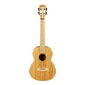 Tenora ukulele Cascha Bamboo Natural HH 2314 cena un informācija | Ģitāras | 220.lv