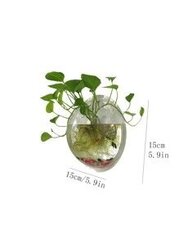 Прозрачный подвесной горшок для растений Electronics LV-10, 15.5 см цена и информация | Вазы | 220.lv