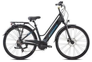 Elektriskais velosipēds Esperia, 28", pelēks цена и информация | Электровелосипеды | 220.lv