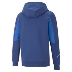 Puma Джемпер Evostripe Full-Zip Mint 847401 50 847401 50/M цена и информация | Мужские толстовки | 220.lv