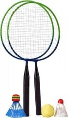 Badmintona komplekts BEST Sporting, dažādas krāsas cena un informācija | Badmintons | 220.lv