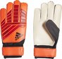 Vārtsargu cimdi Adidas DN8563*10, oranži цена и информация | Vārtsarga cimdi | 220.lv