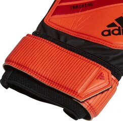 Вратарские перчатки Adidas DN8563*10, оранжевые цена и информация | Перчатки вратаря | 220.lv