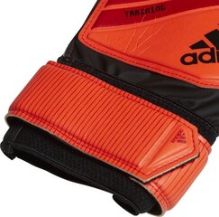 Vārtsargu cimdi Adidas DN8563*10, oranži cena un informācija | Vārtsarga cimdi | 220.lv