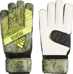 Вратарские перчатки Adidas FJ5926, зеленые цена и информация | Перчатки вратаря | 220.lv