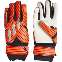 Вратарские перчатки Adidas, цвет оранжевый цена и информация | Перчатки вратаря | 220.lv