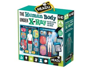 Spēle Headu Cilvēka ķermeņa rentgens 22762 cena un informācija | Galda spēles | 220.lv
