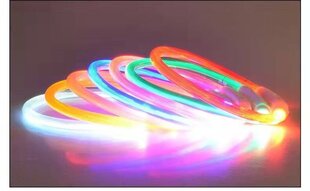 LED kaklasiksna sunim, kakls, 35cm, zaļa цена и информация | Ошейники, подтяжки для собак | 220.lv