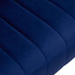 Krēsls 4Rico Qs-of212g, zils cena un informācija | Mēbeles skaistumkopšanas saloniem | 220.lv