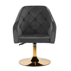 стул - 4rico qs-bl14g, серый цена и информация | Мебель для салонов красоты | 220.lv