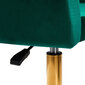 Krēsls - qs-bl14g, zaļš cena un informācija | Mēbeles skaistumkopšanas saloniem | 220.lv