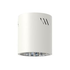 светильник для внутреннего освещения 1xe27 белый цена и информация | Потолочные светильники | 220.lv