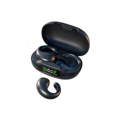 Беспроводные наушники Pinny T29 24H Type-C Bluetooth5.3 IPX5 цена и информация | Наушники с микрофоном Asus H1 Wireless Чёрный | 220.lv