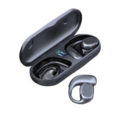 Беспроводные наушники Pinny T19 24H Type-C Bluetooth5.3 IPX5 цена и информация | Наушники с микрофоном Asus H1 Wireless Чёрный | 220.lv