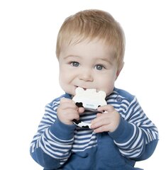 Sasaldējama graužamā rotaļlieta Kidsme Icy Moo cena un informācija | Rotaļlietas zīdaiņiem | 220.lv