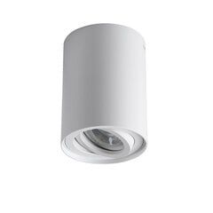 Потолочный светильник BORD XS DLP-50-W цена и информация | Потолочные светильники | 220.lv