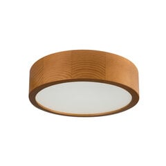 Griestu lampa Jasmin 270-G/O cena un informācija | Griestu lampas | 220.lv