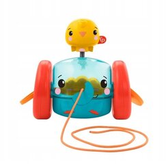 Velkams zilonis ar bumbiņām Mattel FP GTK14 cena un informācija | Rotaļlietas zīdaiņiem | 220.lv