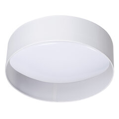 Plafond griestu lampa Rifa Led ZR W/W cena un informācija | Griestu lampas | 220.lv