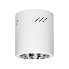 Круглый светильник KORIN 16 E27 белый OR-OD-6181WE27 цена и информация | Настенные светильники | 220.lv