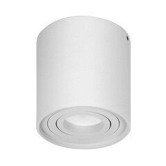 Круглый светильник CAROLIN DLR белый OR-OD-6146WGU10 цена и информация | Настенные светильники | 220.lv