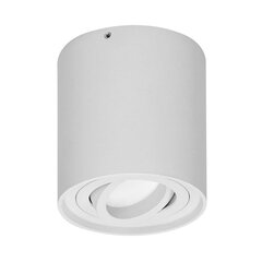 Apaļais gaismeklis DLR balts OR-OD-6146WGU10 cena un informācija | Sienas lampas | 220.lv