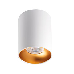 Griestu gaismeklis GU10 W/G balts zelts cena un informācija | Griestu lampas | 220.lv