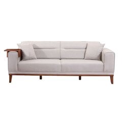 Dīvāns-gulta Asir Lionesi, smilškrāsā cena un informācija | Dīvāni | 220.lv