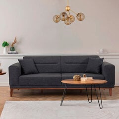 3 vietų sofa-lova Liones 33 - Anthracite цена и информация | Диваны | 220.lv