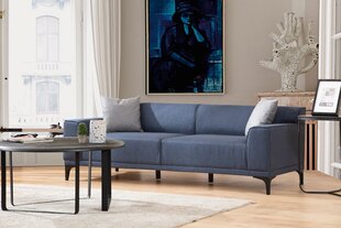 Trīsvietīgs dīvāns Asir Petra 3, zils cena un informācija | Dīvāni | 220.lv