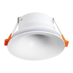 Ajas griestu lampa DSO цена и информация | Потолочные светильники | 220.lv