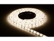 LED lente 12V | 3528 | 300LED | 5m | IP20 | Silti balta cena un informācija | LED lentes | 220.lv