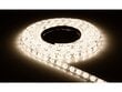 LED lente 12V | 3528 | 300LED | 5m | IP20 | Silti balta cena un informācija | LED lentes | 220.lv