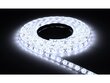 LED lente 12V | 3528 | 600LED | 5m | IP20 | neitrāli balta цена и информация | LED lentes | 220.lv