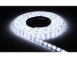 LED sloksne 12V | 2835 | 300LED | 5m | IP20 | Auksti balta цена и информация | LED lentes | 220.lv