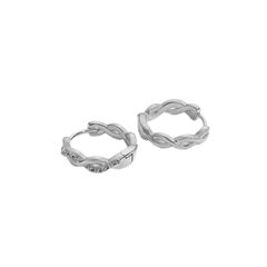 Серебряные серьги с цирконами Brasco 59713 59713 цена и информация | Серьги | 220.lv