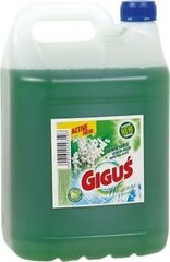 Giguš универсальная чистящая жидкость, 5 л. цена и информация | Чистящие средства | 220.lv