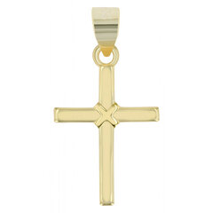 Позолоченный серебряный крестик Shaghafi "Servius" цена и информация | Мужские украшения | 220.lv
