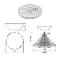 Kanlux griestu lampa Pires DL-60O cena un informācija | Griestu lampas | 220.lv