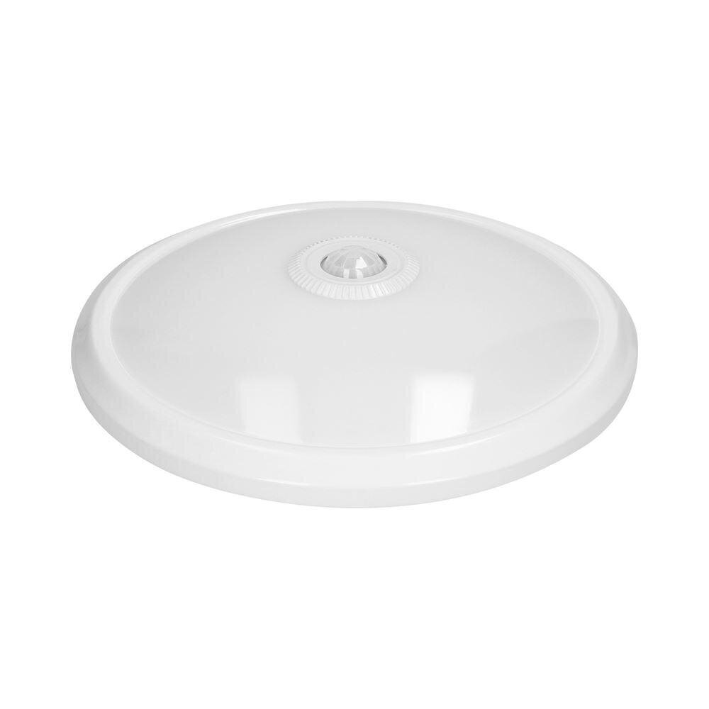 Griestu lampa Zonda LED OR-PL-349WLPMR4 cena un informācija | Griestu lampas | 220.lv