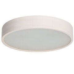 Griestu lampa Jasmin 470-W cena un informācija | Griestu lampas | 220.lv