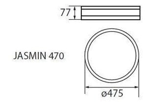 Griestu lampa Jasmin 470-W cena un informācija | Griestu lampas | 220.lv