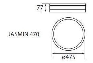 Kanlux griestu lampa Jasmin 470-WE cena un informācija | Griestu lampas | 220.lv