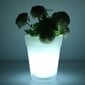 Tech Zone LED puķu pods, 19 cm cena un informācija | Ziedu statīvi, puķu podu turētāji | 220.lv