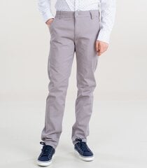 Мужские брюки, светло-серый цена и информация | Мужские брюки | 220.lv