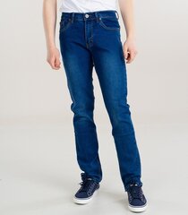 Мужские джинсы, тёмно-синий цена и информация | Мужские джинсы | 220.lv