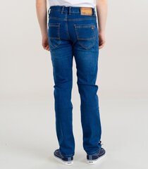 Мужские джинсы, тёмно-синий цена и информация | Мужские джинсы | 220.lv